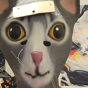 Brand new rubber latex masks